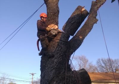 Antos climber wearing a helmet, safety glasses and gloves cutting a large tree
